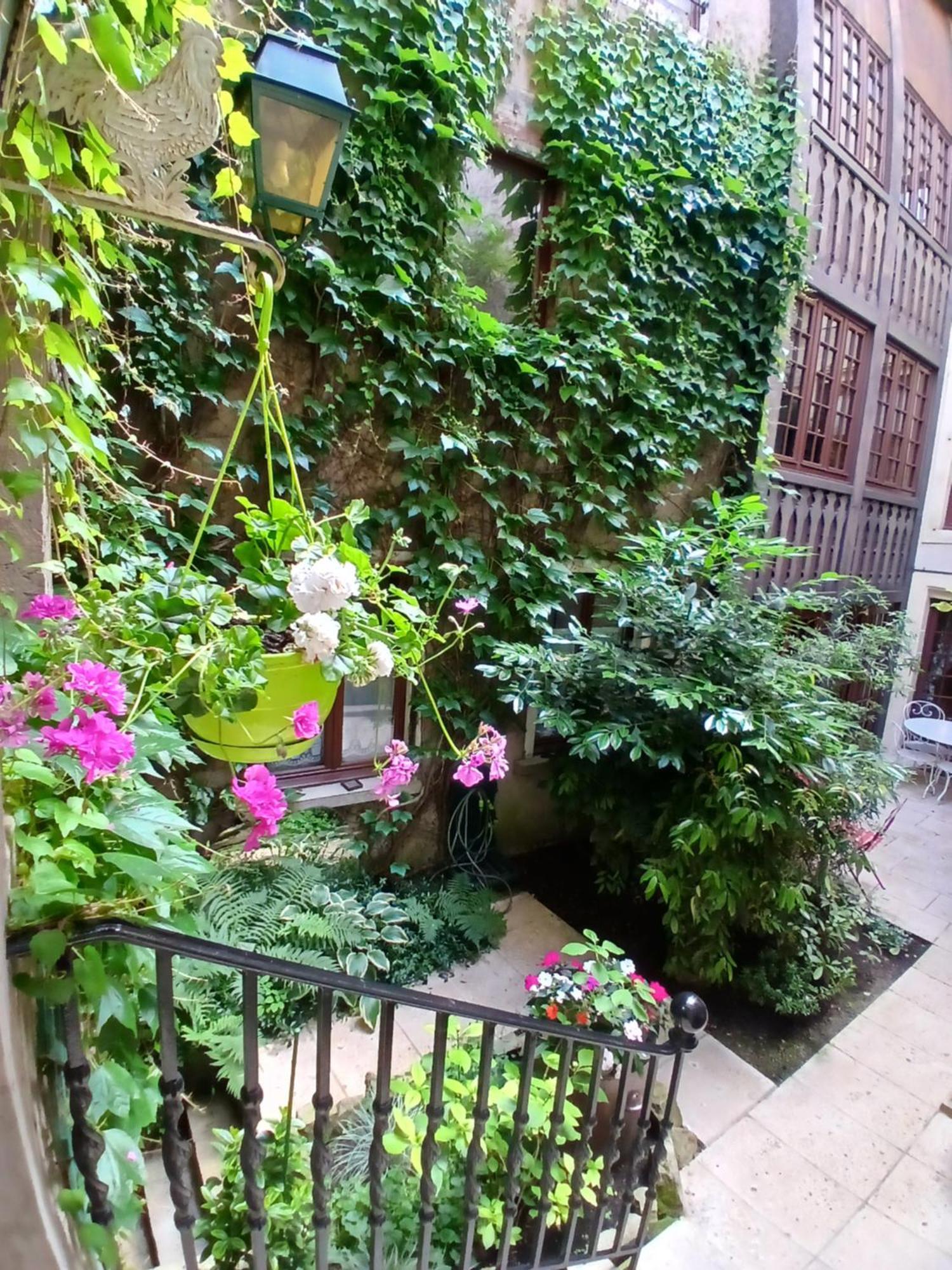 Chambres D'Hotes Le Patio D'Alain Et Veronique ลูเนวิลล์ ภายนอก รูปภาพ